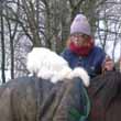 Horse with cat